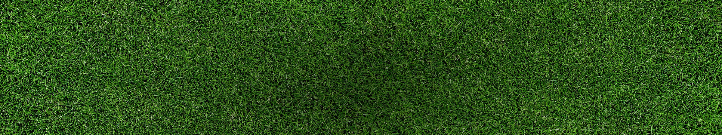 grass calltoaction dark