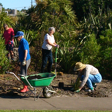 Community planting square