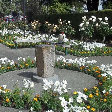 square Takapuna Annuals