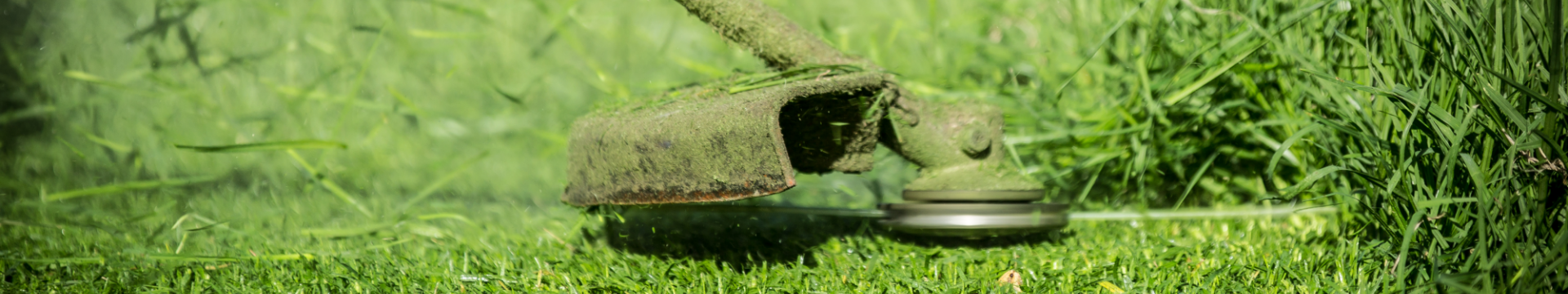 Small sliders Weedeater