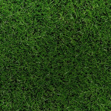 grass calltoaction dark